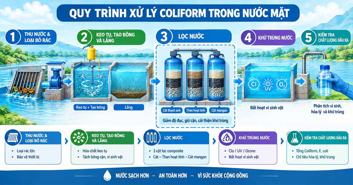 Quy trình xử lý Coliform trong nước mặt