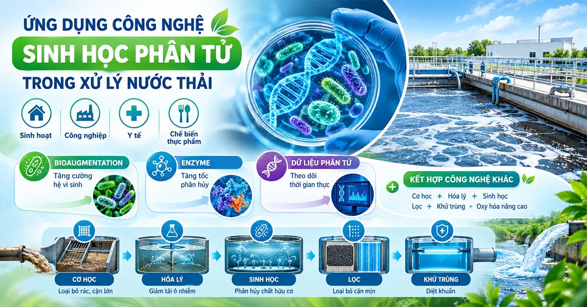 Ứng dụng công nghệ sinh học phân tử trong xử lý nước thải