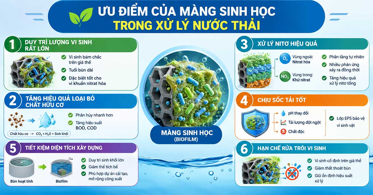 Ưu điểm của màng sinh học trong xử lý nước thải