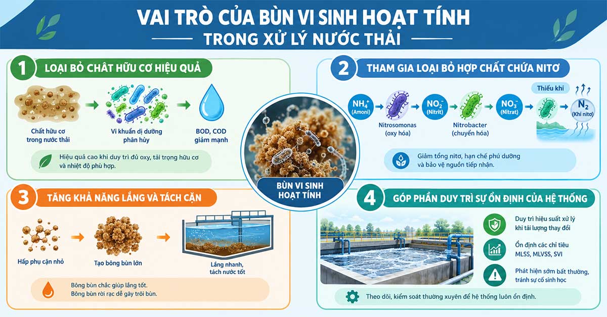 Vai trò của bùn vi sinh hoạt tính trong xử lý nước thải